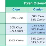 AffinityDNA Canine Degenerative Myelopathy DNA Testing DM Chart