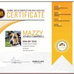 Example DNA My Dog Test Certificate