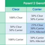 Hyperuricosuria DNA Test Result Chart